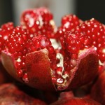 pomegranate-open-196800_1920