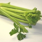 celery-74333_640