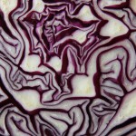 red-cabbage-293349_960_720